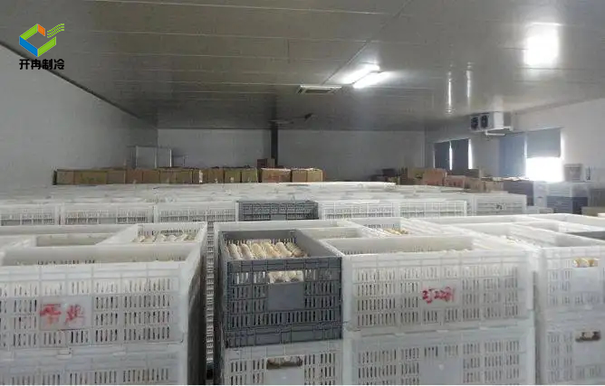 农产品供应中心鸡蛋保鲜冷库安装方法及鸡蛋冷库储存方法