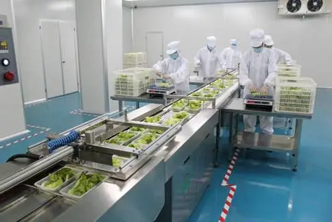 上海儒汇中央厨房2000m净菜加工冷藏库工程案例