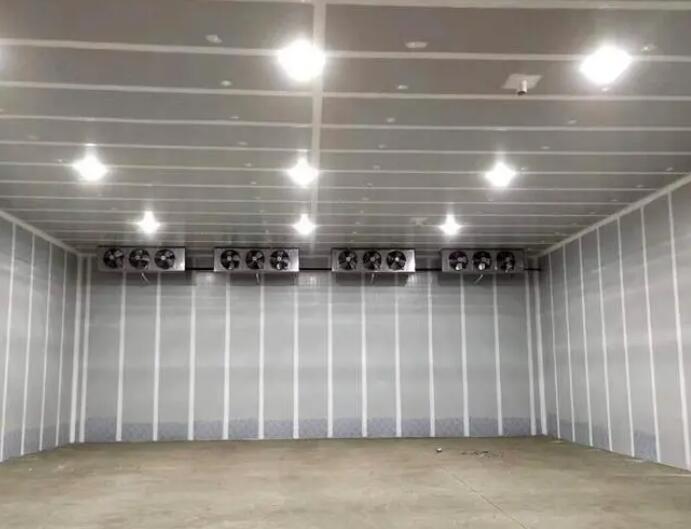 内蒙古某客户建造1500立方玫瑰香葡萄气调保鲜冷库工程案例