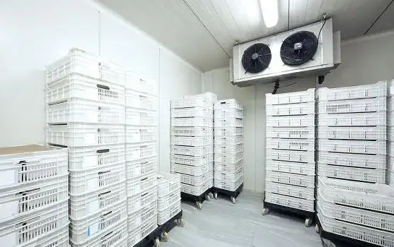 20平海鲜冷冻造价要多少？_开冉制冷