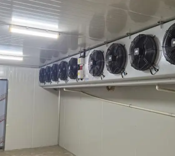 速冻冷库的优点有哪些？_上海开冉制冷