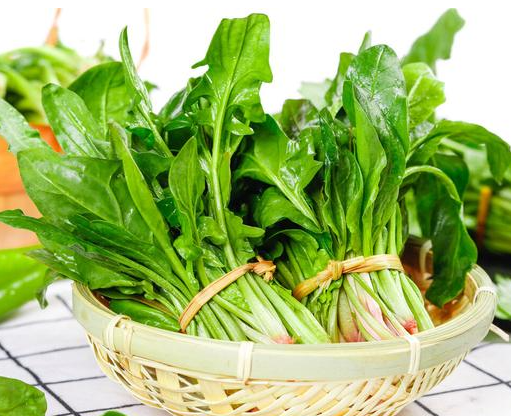菠菜在冷库储存时,需要避免什么因素影响_开冉制冷