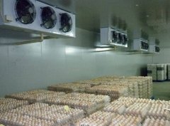建一个冷库，用来存50吨鸡蛋要多少钱
