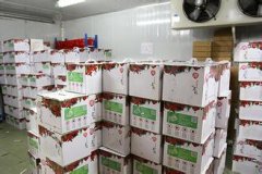 0-5℃水果冷藏库建造设计价格