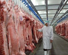 我想建个800吨肉类冷库，一共需要多少钱