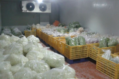 现在建一个果蔬冷库的价格大概在多少