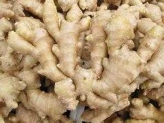 建个1000吨生姜冷库大概需要投资多少钱？