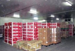 3000立方米水果保鲜库需要投资多少钱？