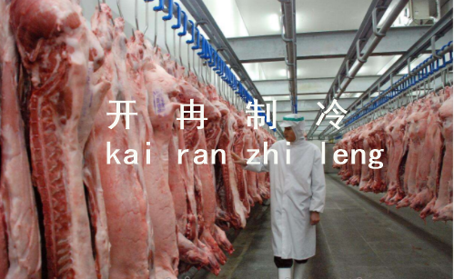上海1000吨肉类冷库