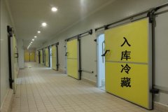 北京2000立方低温冷库设计安装报价是多少