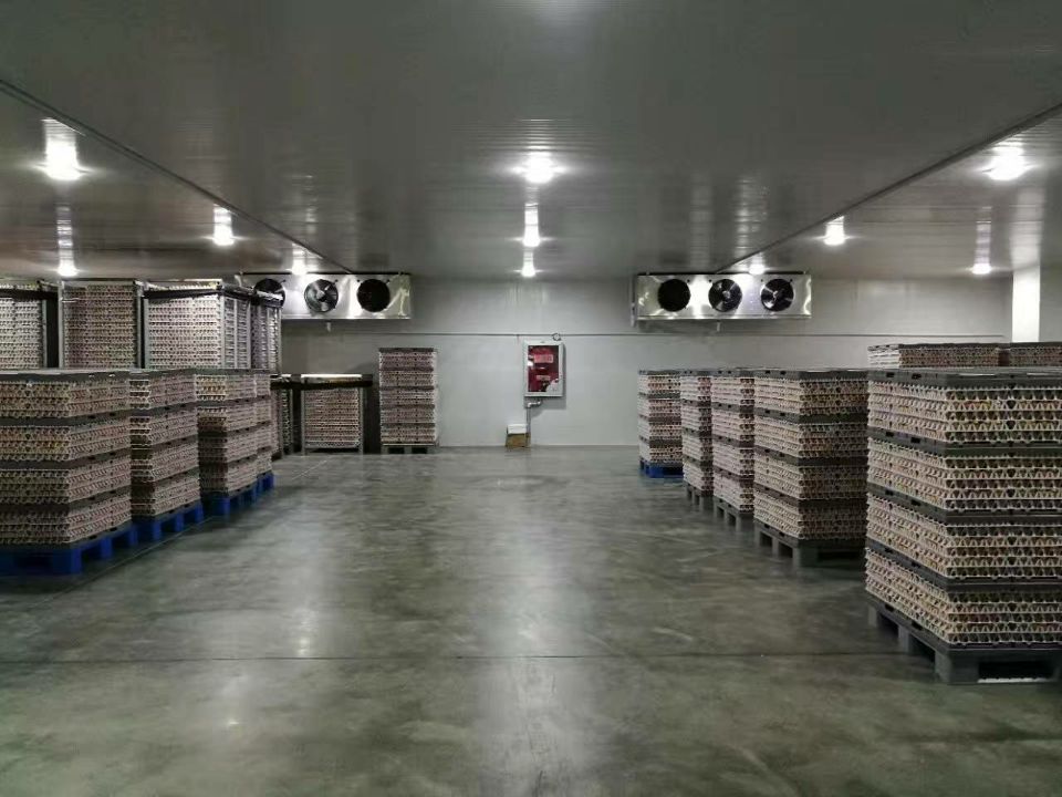 1000立方食品冷藏库
