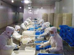 安装一个3000立方低温冷冻库需要投资多少钱？