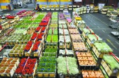 1000平米鲜花冷库怎么安装？造价费用是多少