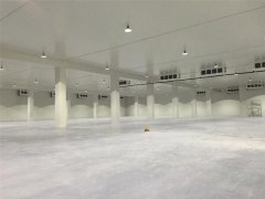 3000吨鲜姜冷库前期规划，冷库造价预算多少