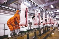 冷库造价应该如何计算？1000吨冻肉冷库大概多少钱？