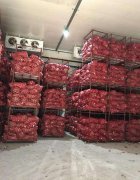 建一个大型果蔬保鲜冷库需要多少钱？