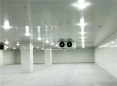 建个一万平出租型冷库大概需要投资多少钱？