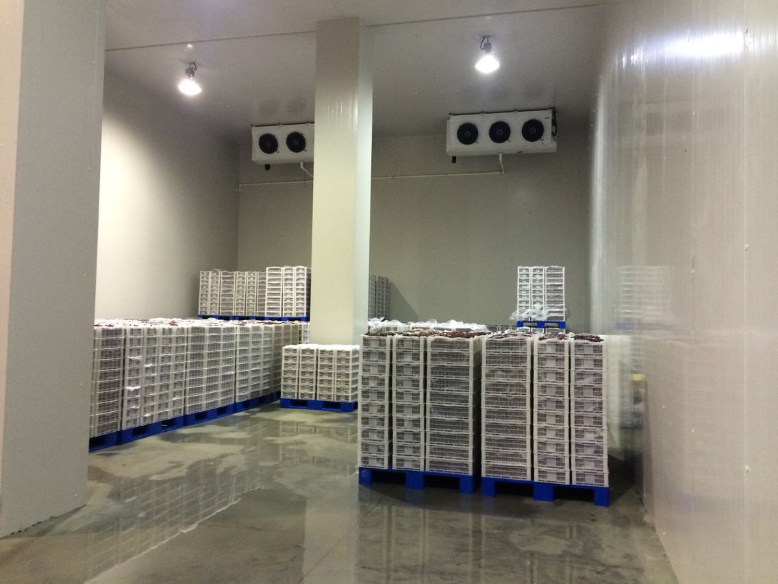 5000平米生鲜食品物流冷库（低温仓储）建设成本需要多少钱