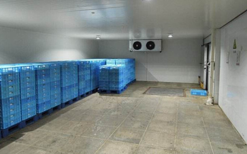 上海建造1000平米啤酒冷库（冷藏库）建设预算多少钱