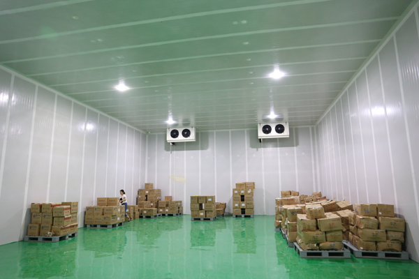 5000平米生鲜配送冷库（社区生鲜冷藏库）建设造价多少钱