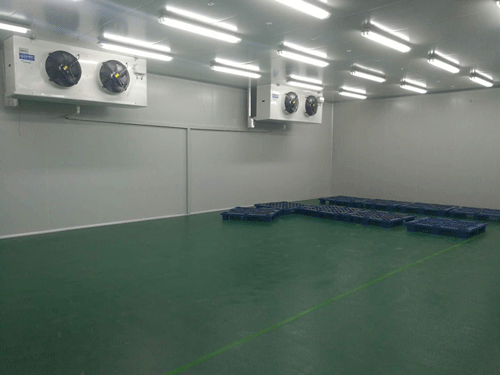 2-8℃生物GSP医药库
