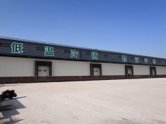 冷链市场加速发展,冷链物流要火了