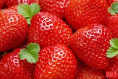 蔬菜水果食品保鲜冷库安装还是要找专业的公司来完成