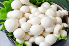 以白玉菇为例的食用菌冷库建造技术