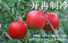 水果冷库报价、一个水果冷库多少钱