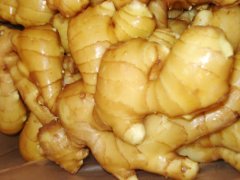 生姜保鲜库内存多久|生姜保鲜库造价