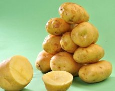 马铃薯蔬菜保鲜库设计及换气
