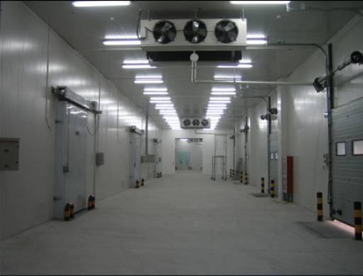 2万平生鲜仓储冷库设计规划完工图