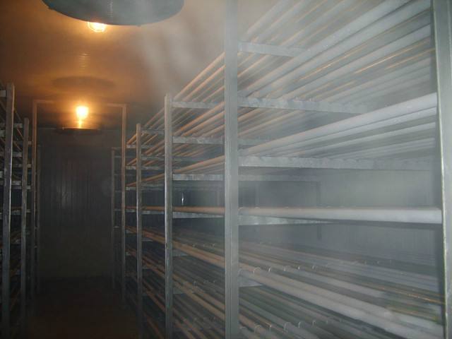 上海开冉为客户建设的一个小型食品速冻冷库