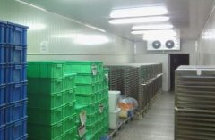 200立方米冷冻库设备报价
