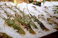 海鲜保存温度？海鲜冷冻库价格多少钱