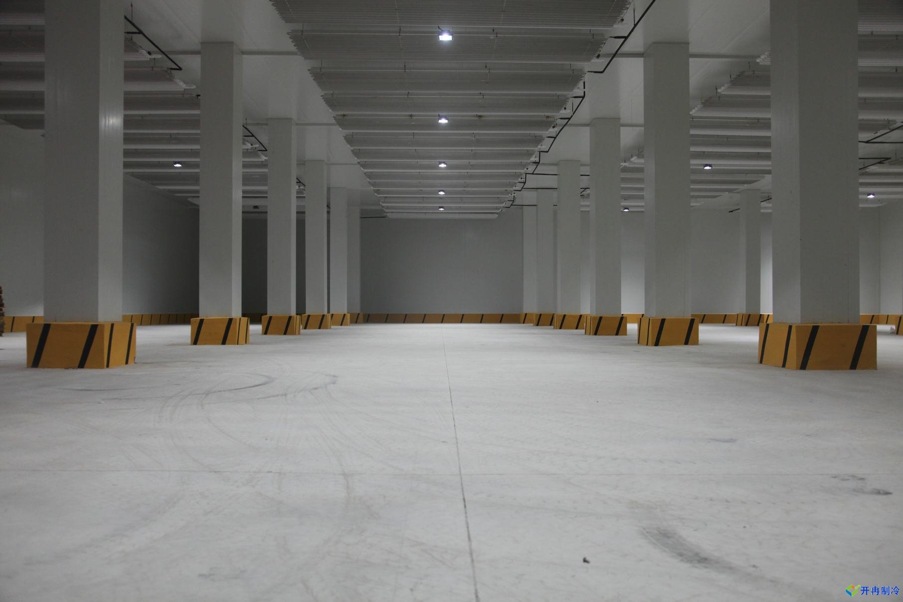 大型冷冻冷库建设工程案例内景