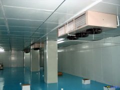设计一个700吨冷冻库造价多少钱？冷藏库设备报价