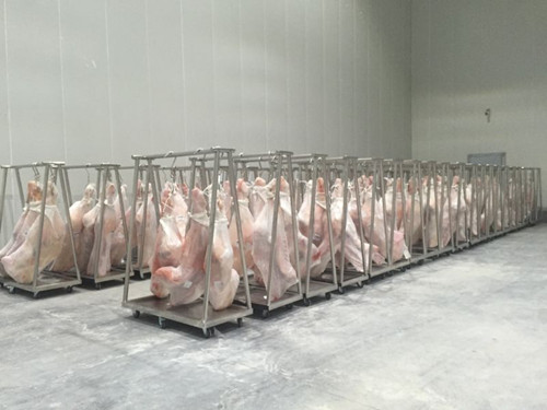 冷鲜肉冷藏库建设方案,肉类冷冻库设计造价