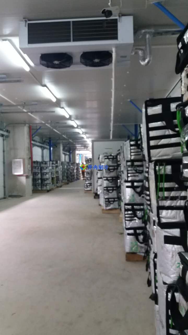 猪肉加工车间冷冻库建设,排酸冷库设计规划方案