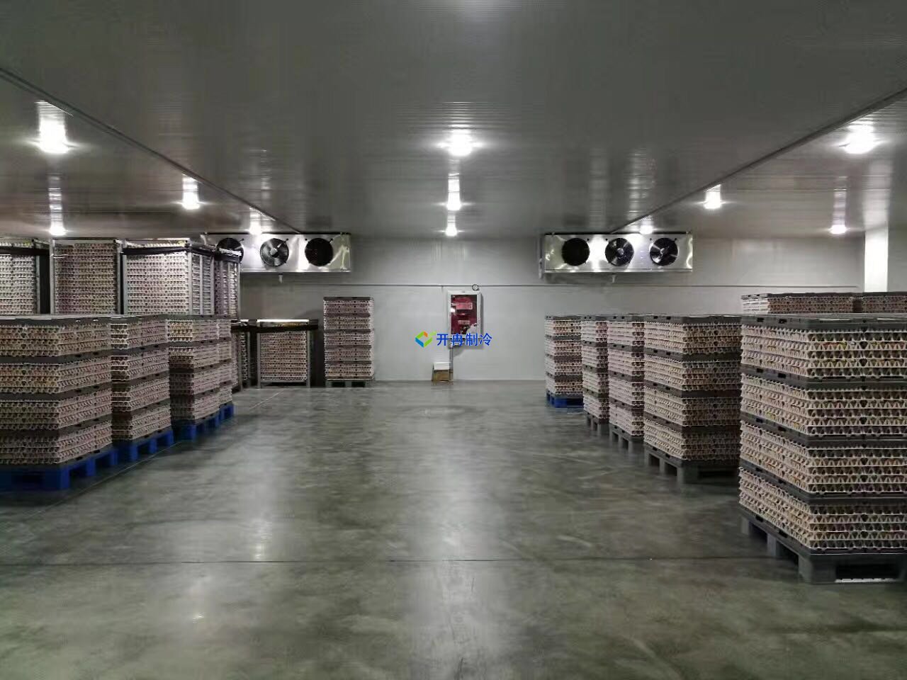 葡萄保鲜库建造及设计造价,葡萄冷库储存方法