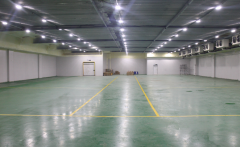 300吨的枇杷冷藏库建造需要多少钱?枇杷冷库造价