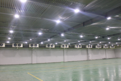 -18℃海鱼冷冻库需要多少钱,2000平低温海带冷库造价