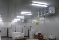 2000平食品冷冻库设计,-18℃海鲜冷冻品冷冻库造价