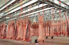 上海安装600平米肉类冷冻库价格是多少，600平米冷库的耗电量怎样