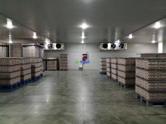 安装1300吨水果冷藏库预算是多少?后期用电能耗大吗?