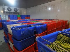 武汉7000立方米果蔬冷库安装需要多少钱?