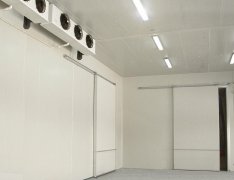 竹笋气调库预算成本是多少?竹笋的保存方法