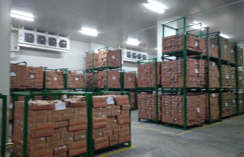 1000吨食品冰库的安装设计制冷设备，需要多少钱