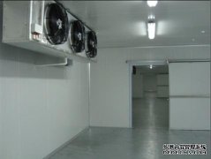 3000立方冷库前期设计和建造的总成本多少