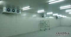 底下室建10000平冷冻库需要总投资多少钱